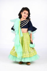 Ethnic sequins embroidered top with lehenga and dupatta