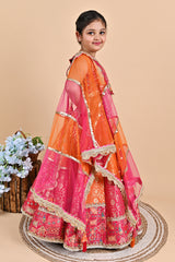 Pink Zari Work Thread Work Brocade Lehenga Choli and Dupatta