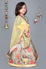 Green puff sleeve choli multicolour printed lehenga with yellow drape dupatta