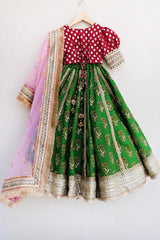 Hand embroidered parrot green lehenga with choli