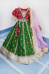 Hand embroidered parrot green lehenga with choli