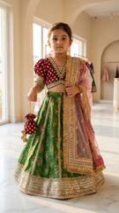 Hand embroidered parrot green lehenga with choli