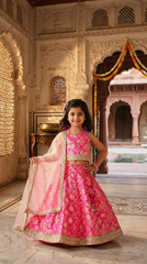 royal pink golden work chanderi lehenga choli set